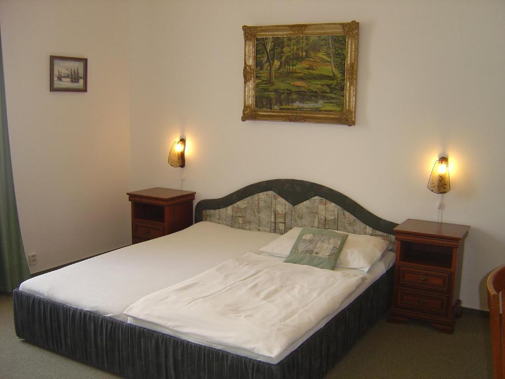 Hotel Excellent Прага Стая снимка